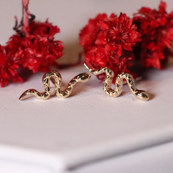 Darkness Warrior - Not all heroes need the spotlight - 10k gold snake earrings - Picture 5 of 5